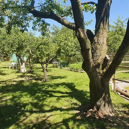 Svata Apartment